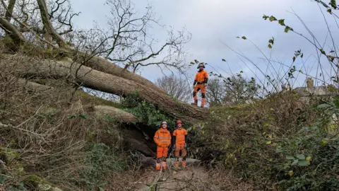 BBC A huge tree blocks a country road. Two men in orange high-visibility overalls stand in the road in front of the tree. A third man stands on top of the fallen tree. 