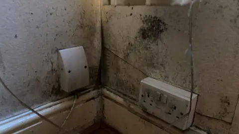Black mould can be seen on white wallpaper and sockets and skirting boards in the corner of a room in a house