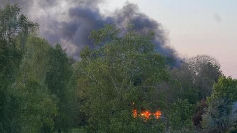 Flames pictured behind a tree, with black smoke billowing