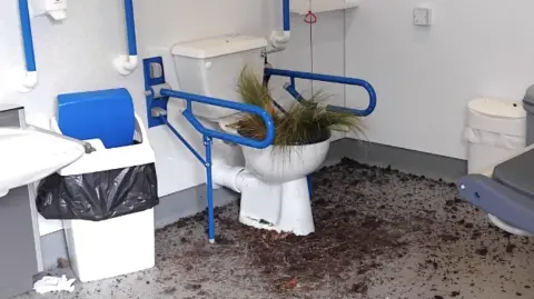 A disabled toilet, with railings either side of it and a red emergency chord, filled with grass and soil. Soil also covers the floor.