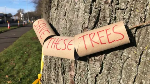 "Save the trees" sign on a tree