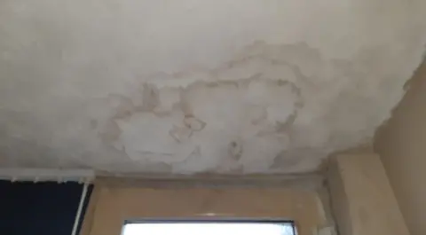 Damp and mould growing on a white ceiling