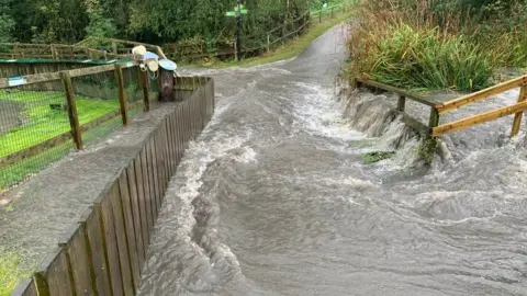 WWT Washington Wetland Centre Water flowing past the otter enclosure