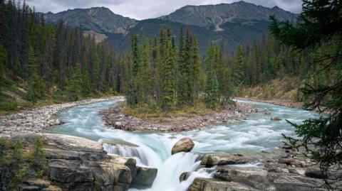 A waterfall in Jasper