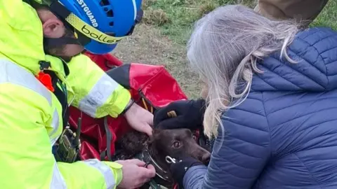 Beer Coastguard Rescue Team A frightened-looking cocker spaniel peers out of a bag as her owner and a member of the rescue teams help her.