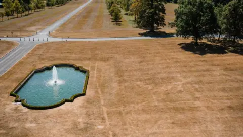 Tom Anders/Longleat House An Aerial photo of a large lawn outside Longleat House, shows scorched lines in the grass next to a working rectangular pool with a fountain. The grass is totally brown.