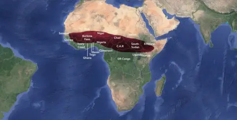 A map of Africa showing areas of Senegal, Guinea, Ivory Coast, Ghana, Togo, Mali, Burkina Faso, Benin, Niger, Nigeria, Cameroon, Chad, Central African Republic, DR Congo, Sudan, South Sudan, Uganda, Kenya and Ethiopia where shea nut trees grow.