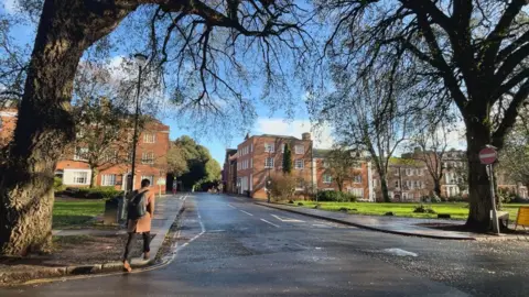 Barnfield Road with large trees on either side and buildings of Southernhay in the distance