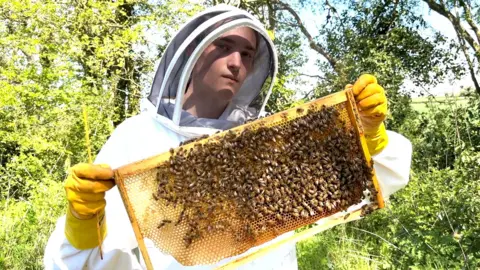 A beekeeper in white protective outfit and yellow gloves holding up a swarm of bees attached to a honeycomb frame