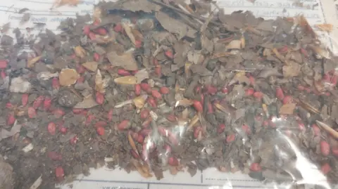 Hampshire & Isle of Wight Constabulary Close up of red pellets and brown leaves in a clear police evidence bag