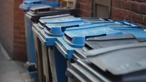 A row of blue and black bins along the side of a single house in Hull