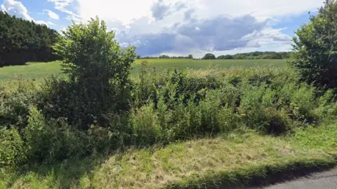 A farm field seen from the road, which has a low hedge before the field. On the left side of the field is a row of tall trees.