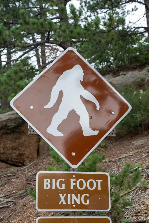 Getty Images A brown sign is pictured on the highway leading to the summit of Pikes Peak in Colorado Springs, Colorado, which announces a Big Foot crossing. A white big foot figure is seen in the centre of the sign, with the label "big foot xing" sitting below the triangular sign.