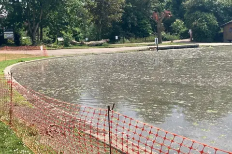 Katy Lewis/BBC Verulamium lake, St Albans