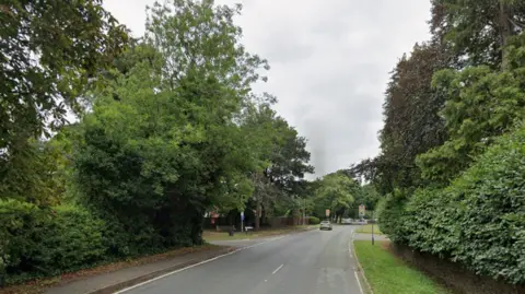 A wide road with trees lining each side.