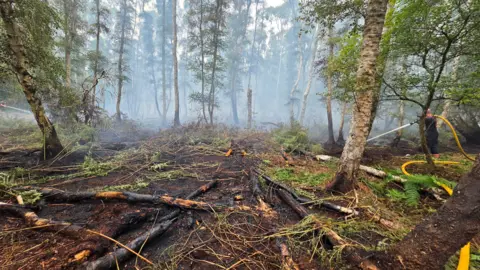 Cambridgeshire Fire and Rescue Service Aftermath of a woodland which has been on fire. Several trees are burnt and are on the floor and there is smoke in the background. A firefighter is on the right holding a yellow hose.