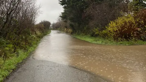 A flood affects a narrow country road surrounded by hedges in Pembrokeshire