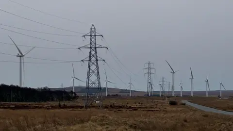 Electricity pylons and power lines stretch across an open moorland landscape, with numerous wind turbines turning in the background under an overcast sky.