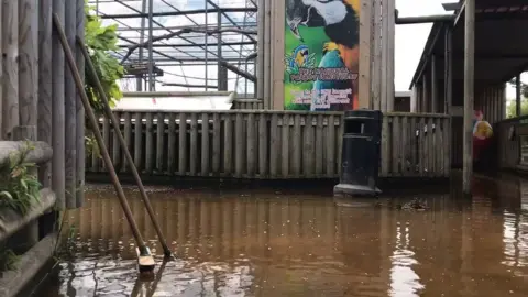 Flooded animal park