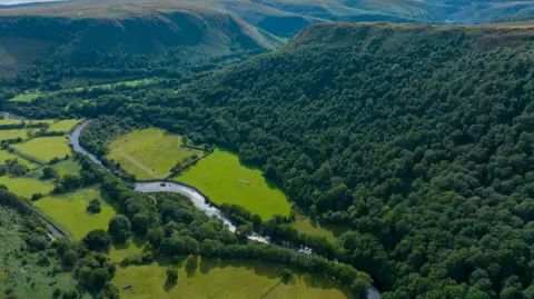 A river runs through a lush and green area with fields on the left and a forest on the right.