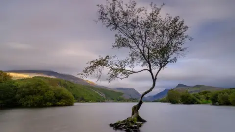 Getty Images Llyn Padarn