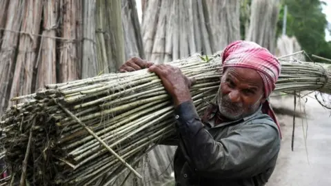 AFP Jute farmer