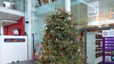 Museum Wales The National Waterfront Museum's tree