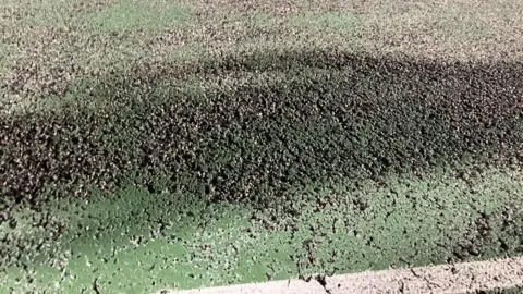 A close up shot of the sports courts at Haxby, which are in poor condition, with visible cracks and peeling paintwork.