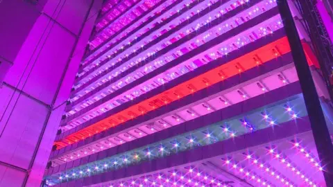 Vertical farming
