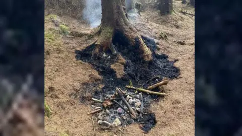 Northumberland National Park Mountain Rescue Team Photo of burnt out campfire by tree in the woods. 