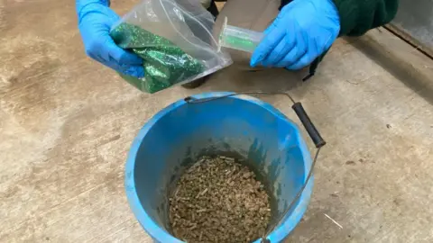 Blackpool Zoo Blackpool zookeeper adds edible glitter to elephant food