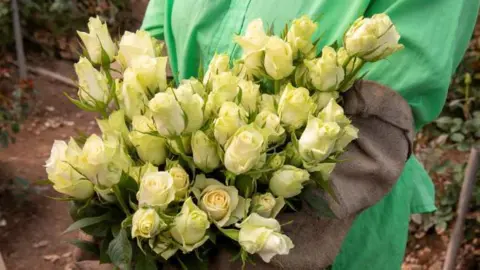 Kate Stanworth A Kenyan woman with roses