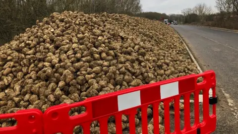 Darren Rozier/BBC A large pile of sugar beet on a cycleway