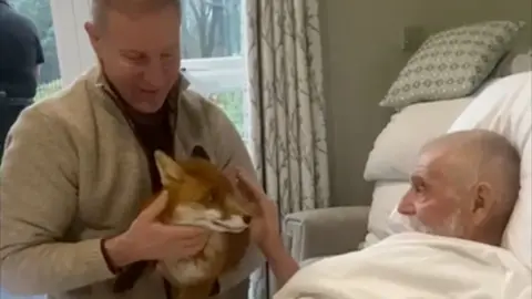 Man in a grey jumper holds a fox towards a man with a white beard in a care home bed.