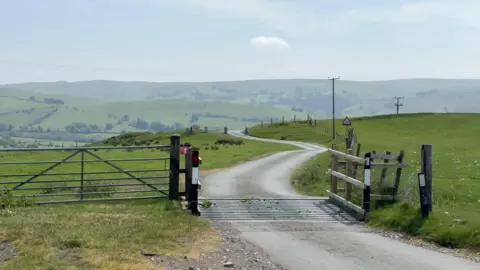 A single-track tarmac road curves away into the distance through open green farmland. A metal cattle grid spans the road in the foreground, with a wooden post-and-rail fence on the right and a metal field gate on the left. Rolling hills and a few telegraph poles rise against a pale blue sky in the background.