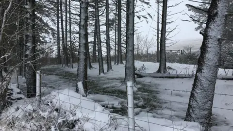 The Landygirl | Weather Watchers Snowy Saturday in Llangollen