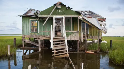 Julie Dermansky Louisiana