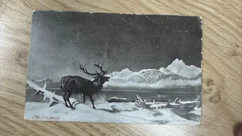 Swansea Building Society  The front of the postcard showing a reindeer against a snowy backdrop 