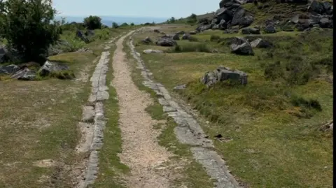 Jelly B Photography Haytor Tramway has granite laid along the ground in tracks across the green rocky moors.
