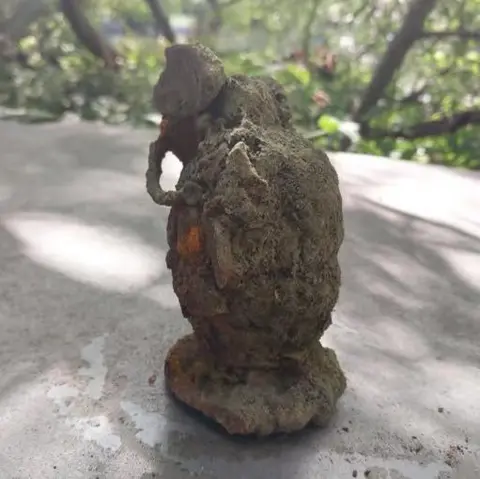 TVP Oxford Grenade - described as looking like an elephant walking away - thought to be from WW2.