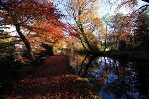 Paul Richards Autumn trees beside a river