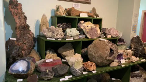 A selection of rocks and gems on display on green display shelves