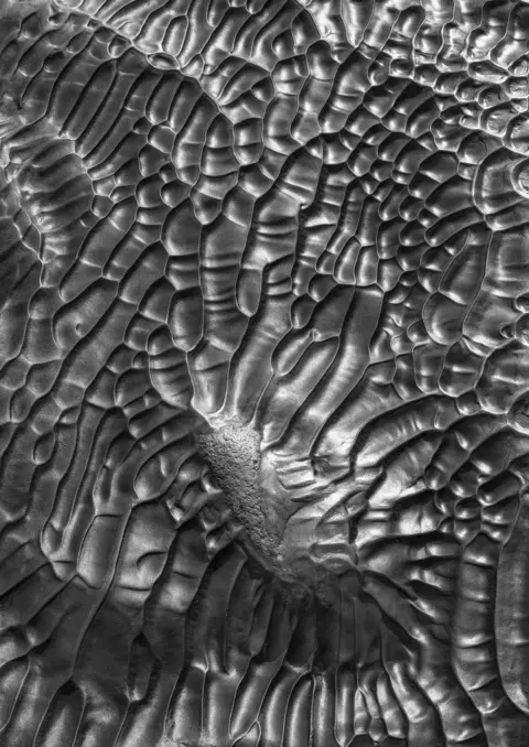 Oleg Ershov An aerial view of natural patterns in soil