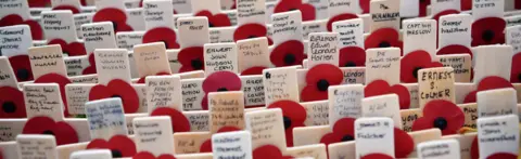 AFP Remembrance poppies