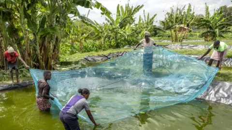 Jeroen van Loon Smaller scale fish farm in Kenya