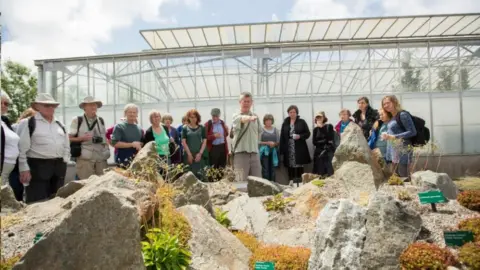 National Botanic Garden Conserving Welsh Plants area