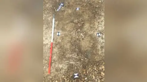 Central Bedfordshire Council Bronze Age burial skeleton. The skull is at the top and the legs are drawn up crouched position at the bottom.