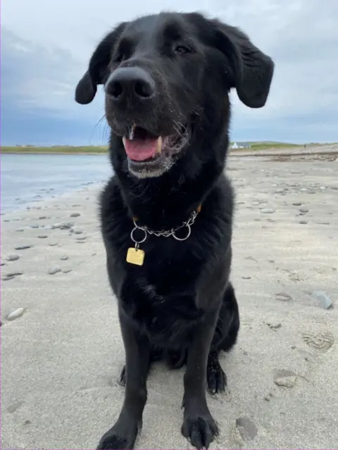 40 Years as a Guide Dog Owner.