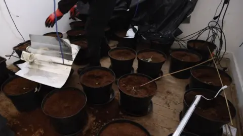 Merseyside Police Police uncover cannabis farm