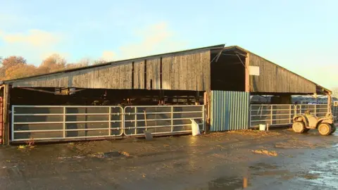 The Buffalo Farm